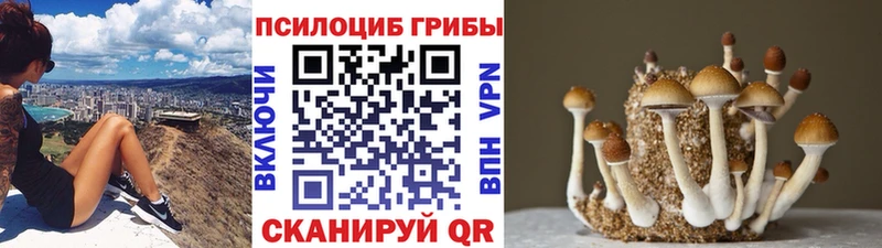 Псилоцибиновые грибы мухоморы Дорогобуж