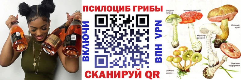 Галлюциногенные грибы ЛСД  Дорогобуж 
